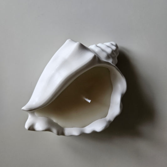 Seashell Candle