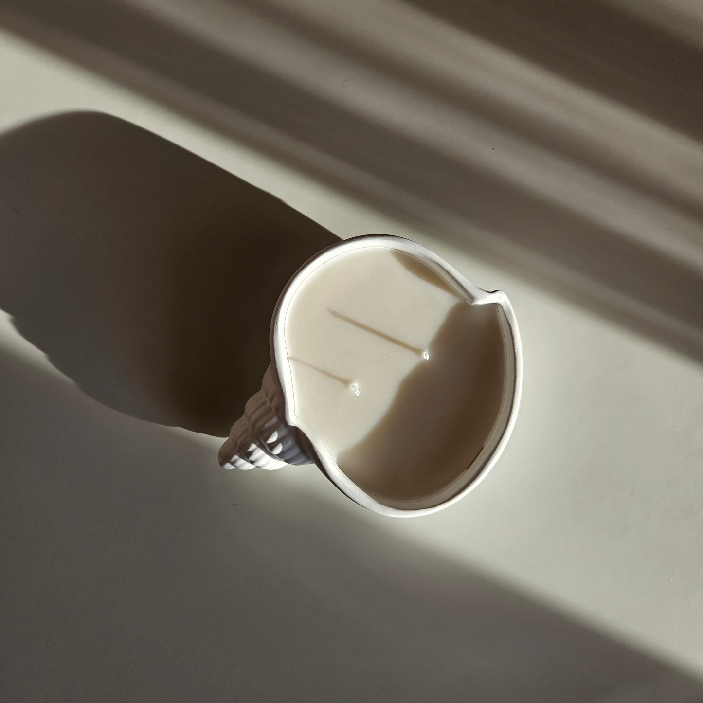Flat seashell candle