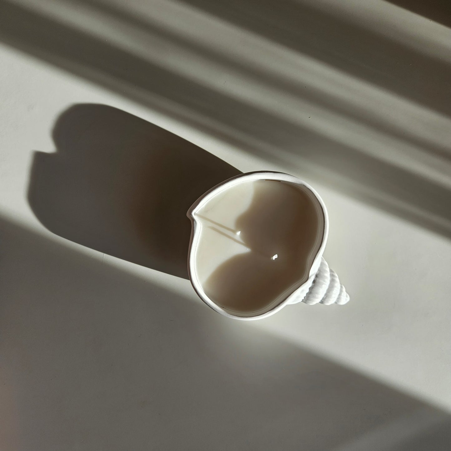 Flat seashell candle