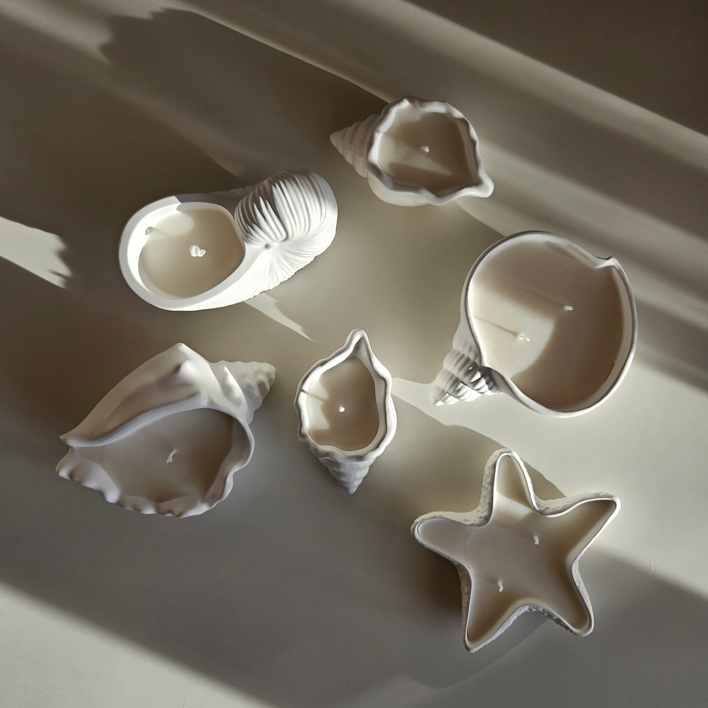 Flat seashell candle